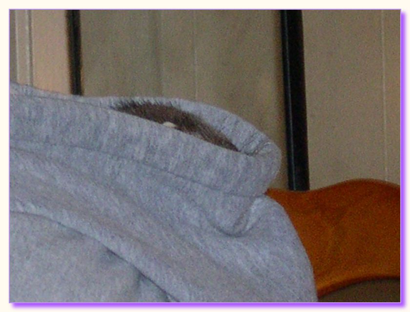 DSCN0051